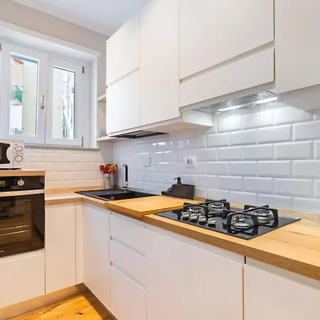 Urban Jungle Santa Rita Family *