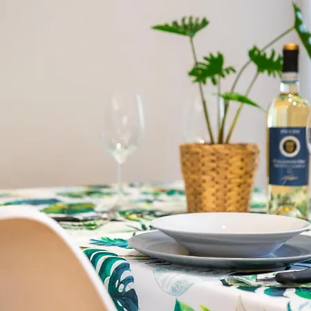 Urban Jungle Santa Rita Family *